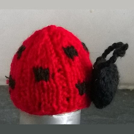 Innocent Smoothies Big Knit Hat Patterns Ladybird